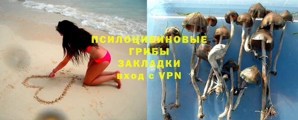 круглые Алзамай