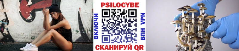 MEGA ССЫЛКА  Арамиль  Галлюциногенные грибы Cubensis 